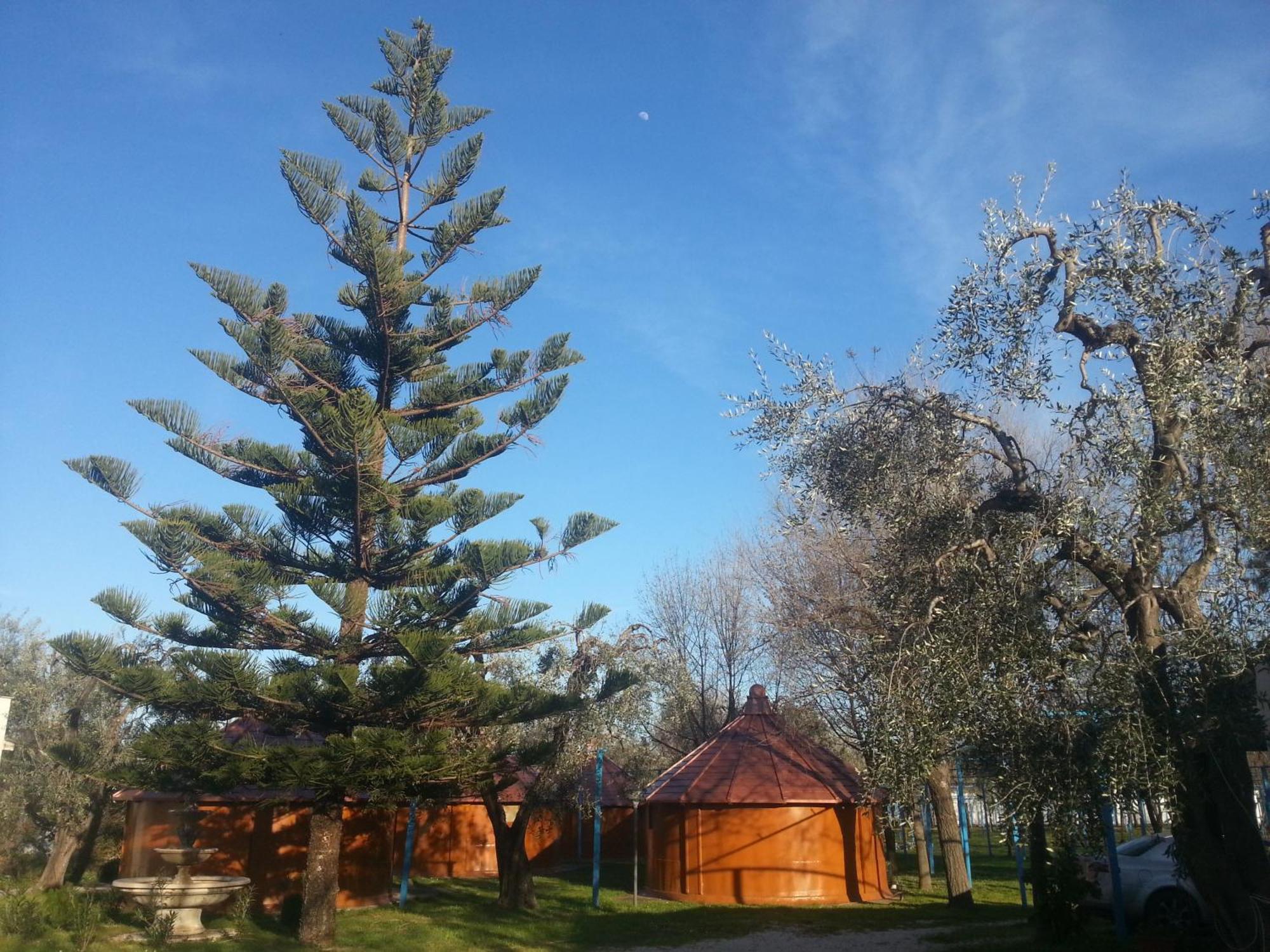 Mattinata Camping Exterior photo